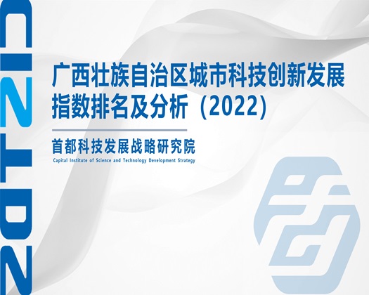 俄罗斯肥胖老太婆操逼视频【成果发布】广西壮族自治区城市科技创新发展指数排名及分析（2022）